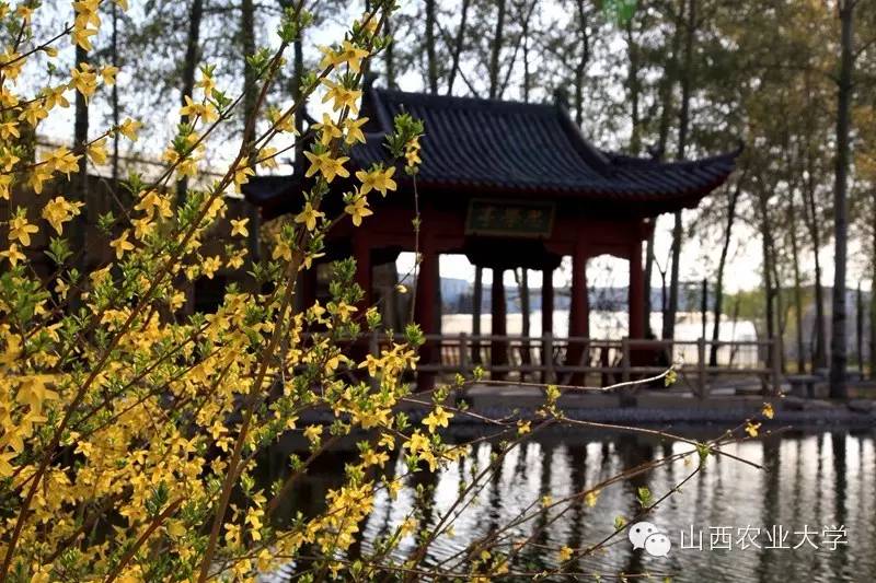 在山西农业大学有哪些学院呢？学院又是如何规划的呢?戳图文查看