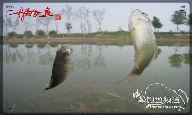 马踏湖国家湿地公园远足,马踏湖国家湿地公园游览路线