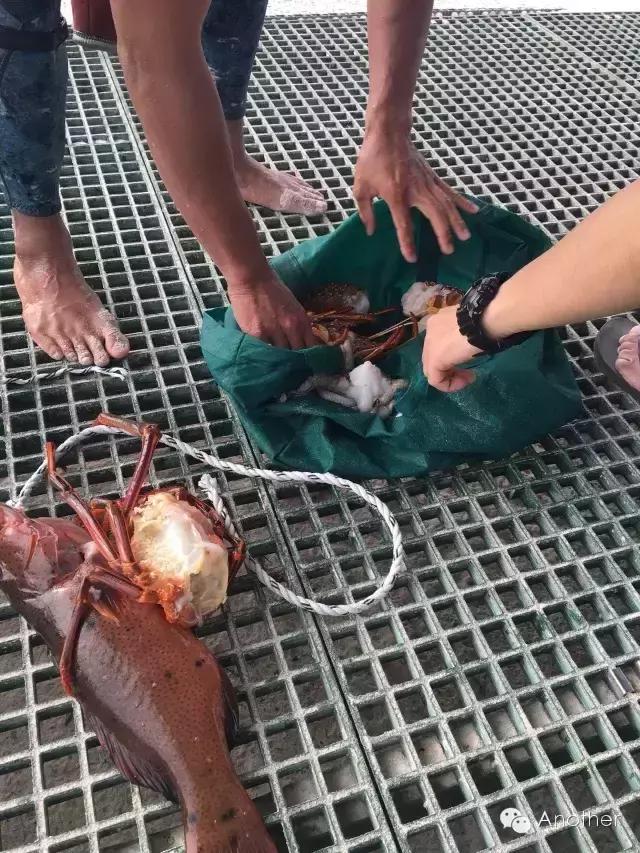 在澳洲租房车贵吗,租房车在澳洲