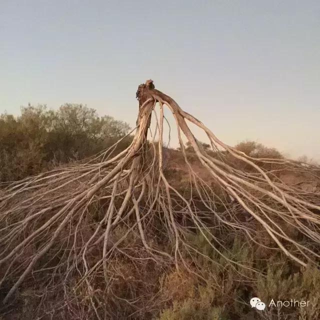 在澳洲租房车贵吗,租房车在澳洲