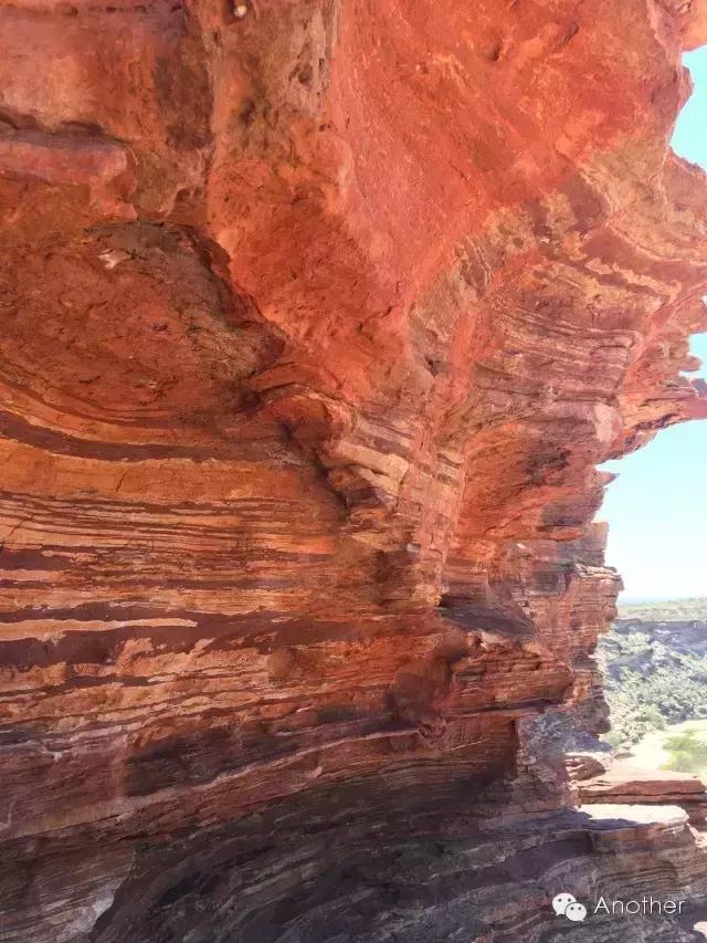在澳洲租房车贵吗,租房车在澳洲