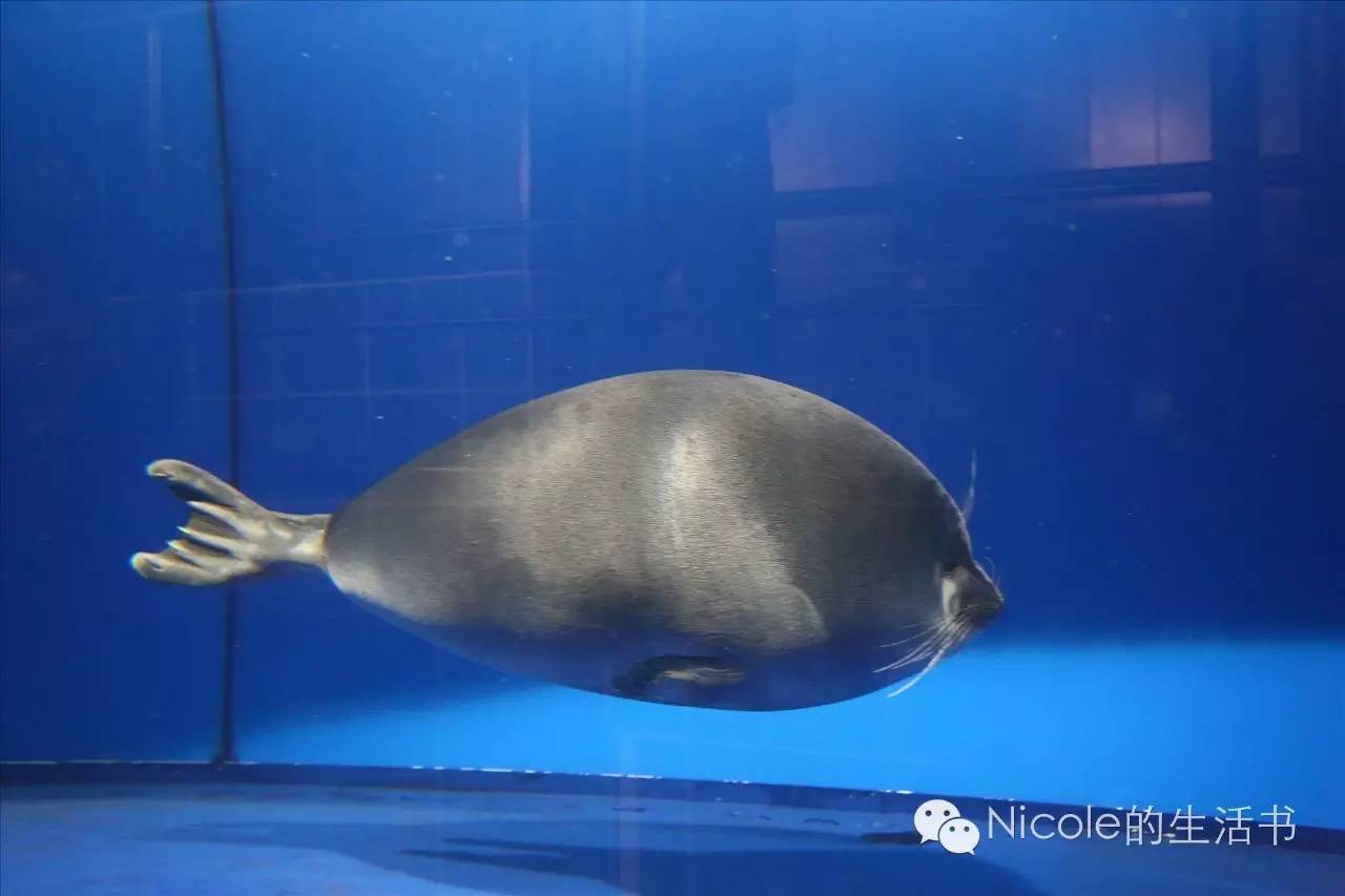 中蒙俄茶叶之路|走近多彩的俄罗斯