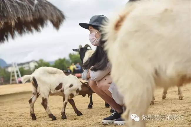 丽江飞越峡谷,丽江飞越