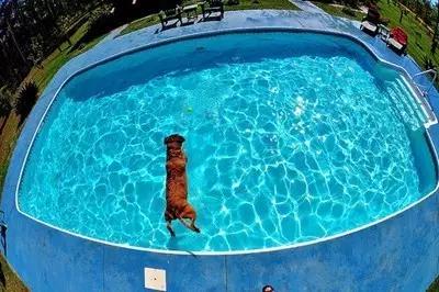 辽A－辽P！省内各市游泳馆地图来袭！哪凉快哪呆着去～