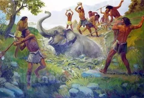 孩子喜欢的动物园,孩子喜欢的动物你绝对想不到