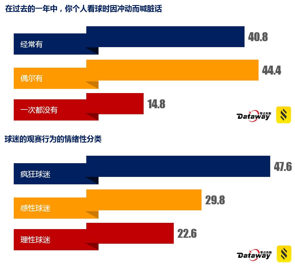欧洲杯球迷实录,欧洲杯阿迪
