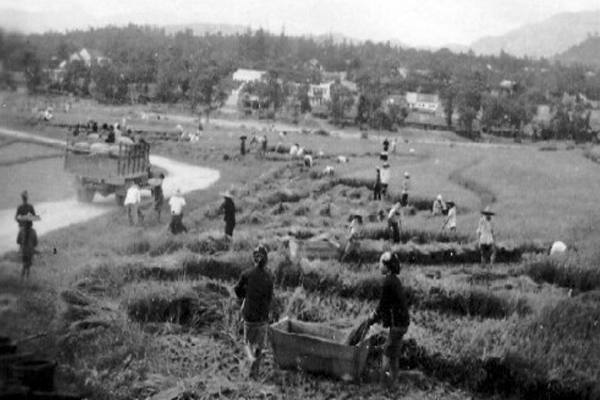 土地集体所有是怎么形成的,国有土地变成集体的