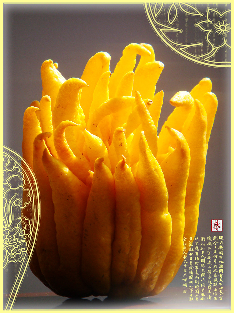 老香黄是哪三样,老香黄是什么有什么用