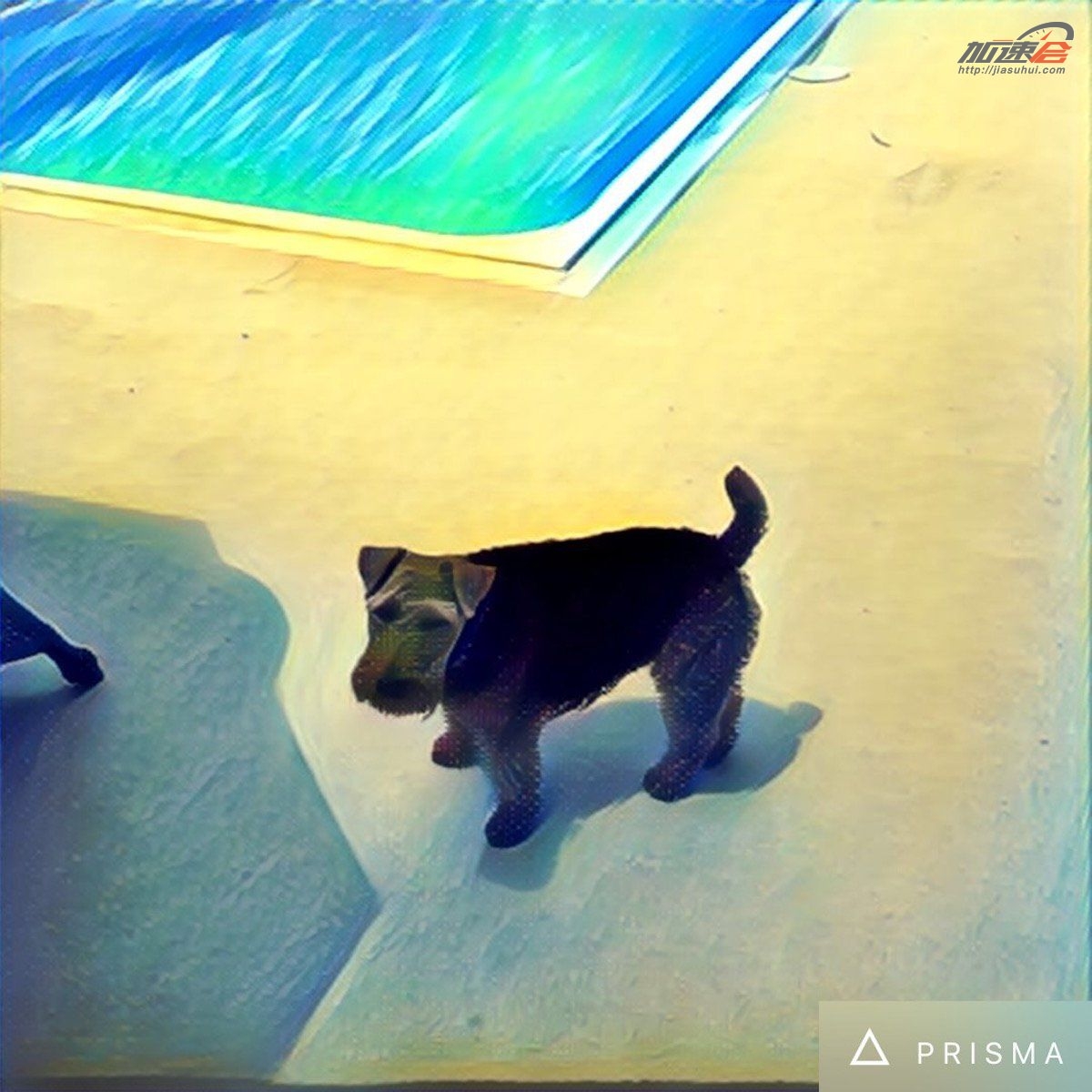 p图滤镜调色高级感轻颜相机,复古p图滤镜软件