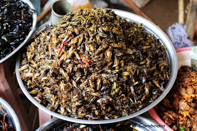 柬埔寨必去景点推荐,柬埔寨旅游必去的九大绝佳景点