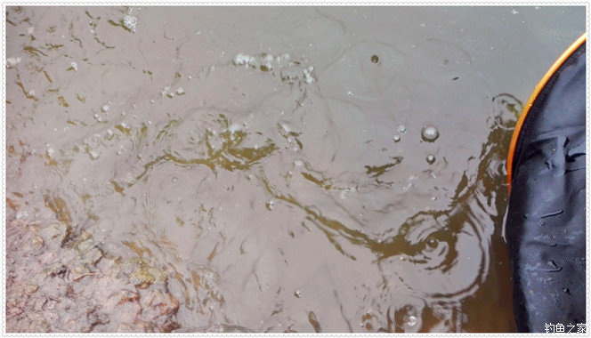 大雨一直下在鱼塘怎么钓草鱼,下大雨水库好钓草鱼吗