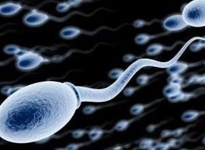 为什么肌肉男多生女儿,肌肉男会遗传下一代吗