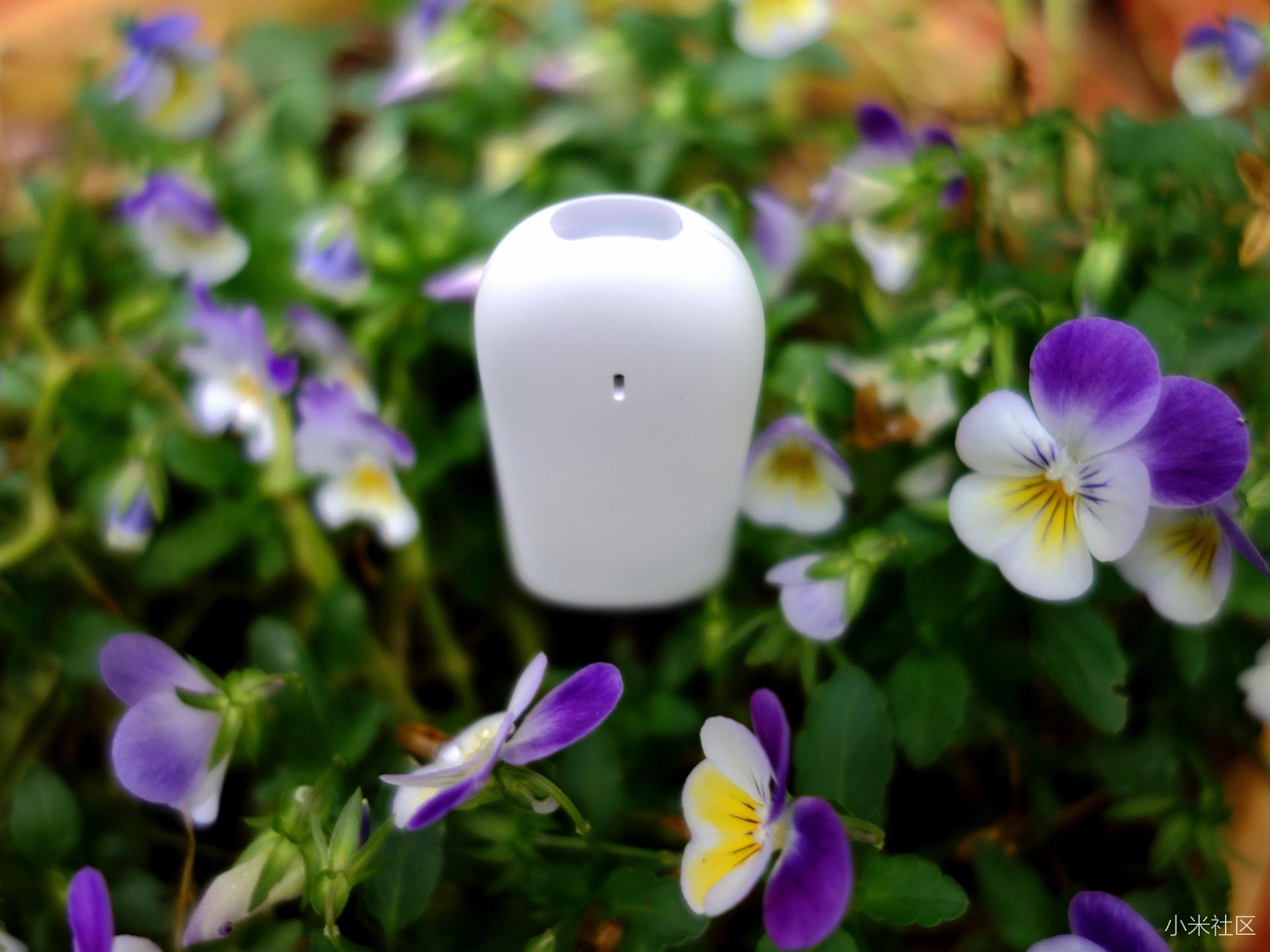 种花检测仪哪种好,花草检测仪好用吗