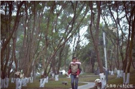 我是你的新娘歌词,我是你的新娘你是我的新郎dj