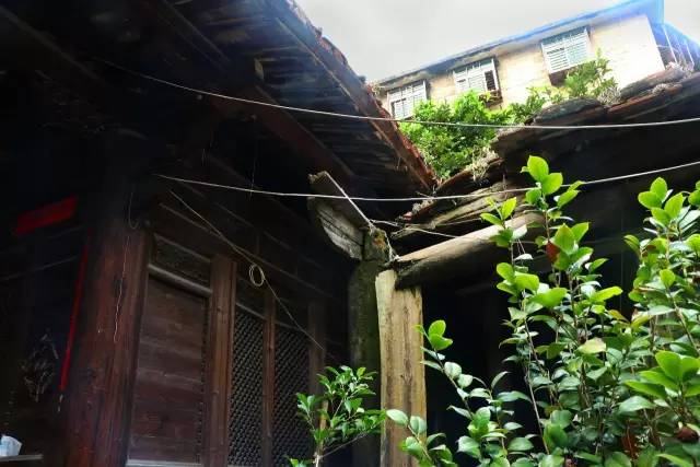 泉州一条老街一段故事,泉州老街巷的传说