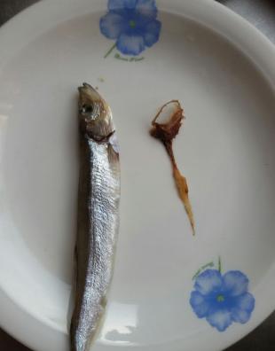 干煎多春鱼正宗做法,干煎多春鱼