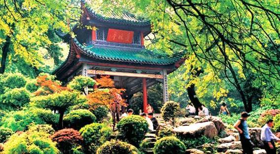 鸡冻!衢州人能坐高铁到云南啦!省了30小时,沿途风景美哭你!