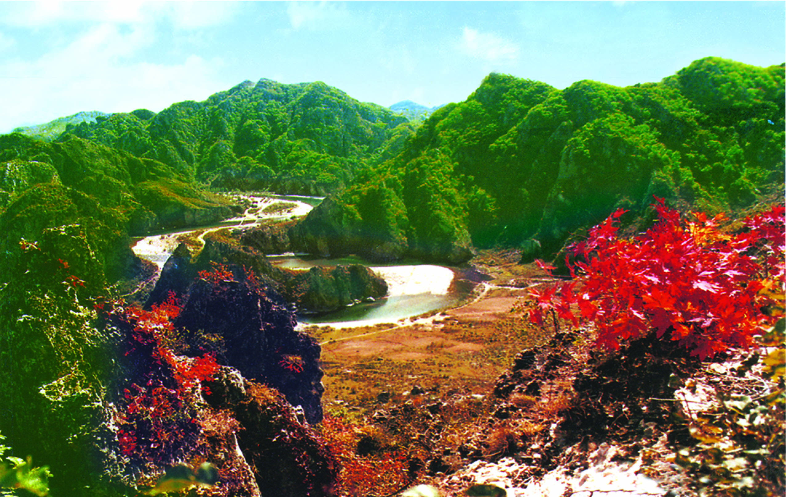 珍稀水源地,大连野生珍稀植物