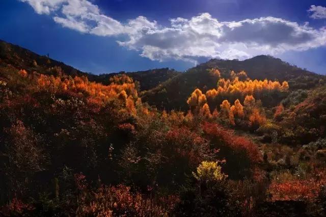 固原摄影风景,宁夏固原唯一印象摄影