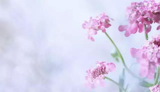 中医对三焦湿热的治疗,三焦湿热中医调理