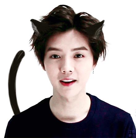 鹿不羁视频完整版,鹿不羁原创