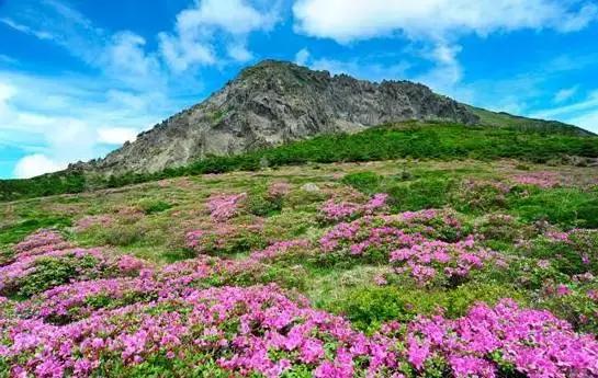 韩国济州岛一个人攻略,韩国济州岛旅行视频
