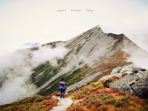 陕西眉县什么时候撤县设市,眉县撤县设市最新消息