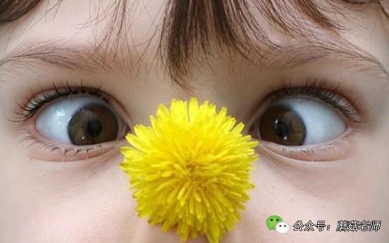 刚出生的宝宝斗鸡眼是怎么造成的,新生宝宝斗鸡眼正常吗