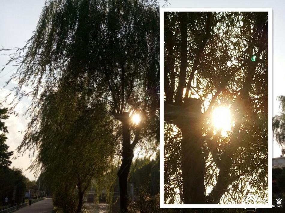 中兴bladea2p,中兴bladea2plus用法