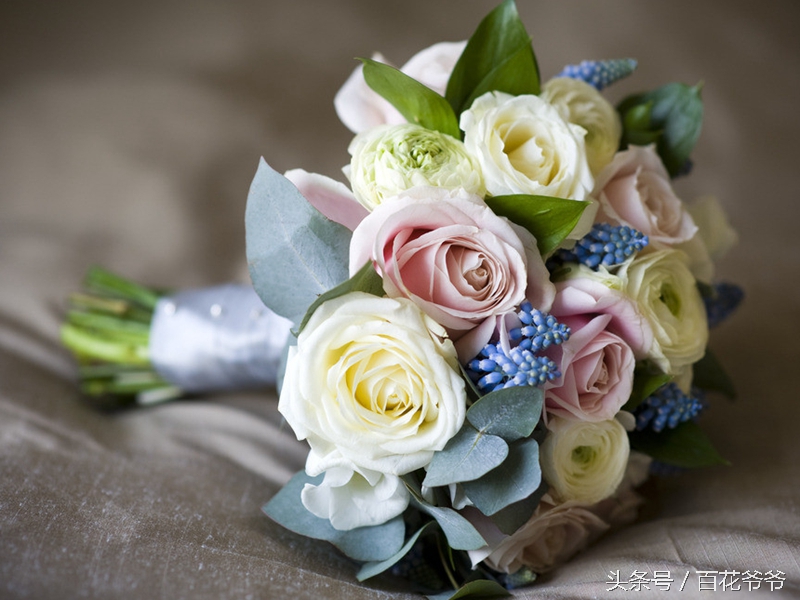 鲜花礼仪送花流程,送花礼仪有哪些