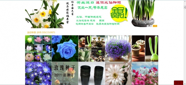 6种方法教你快速识别淘宝假花店（养花者必看）