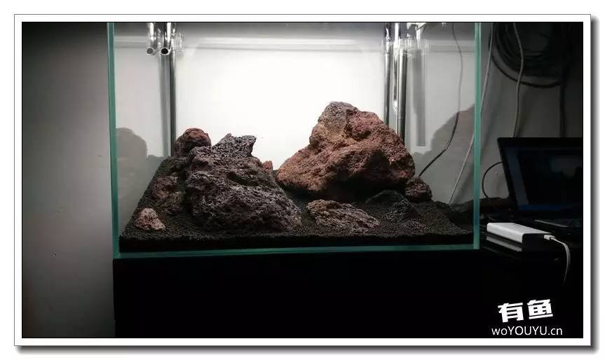 新手小白原生缸开缸教程,鱼缸怎么用高锰酸钾开缸详细教程