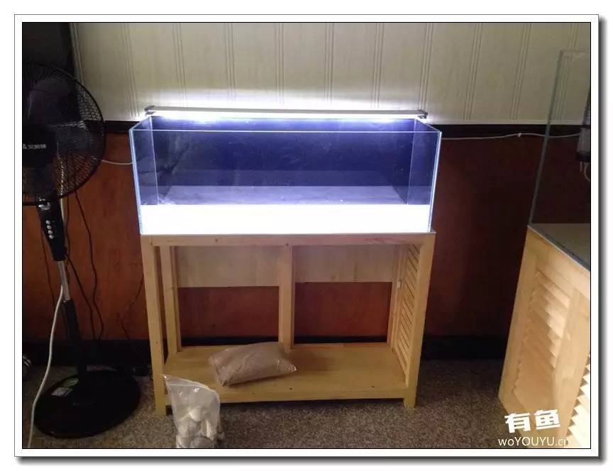 养了一个月的鱼突然大批死亡,斗鱼孵化后小鱼换水团灭