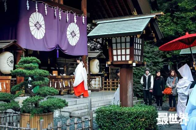 这个东京，怎么和我朋友圈里的那个不大一样？