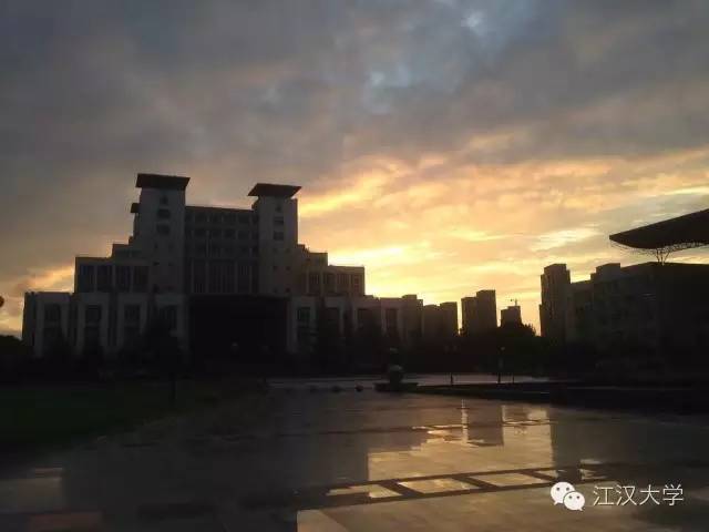 姹熷ぇ缇庢櫙,濮滃ぇ缇庝附