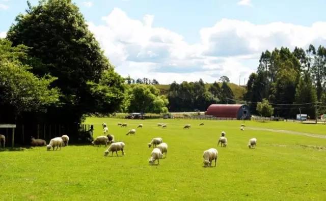 深圳一套房的(ju)钱(kuan),出国能买什么?看完懵B了