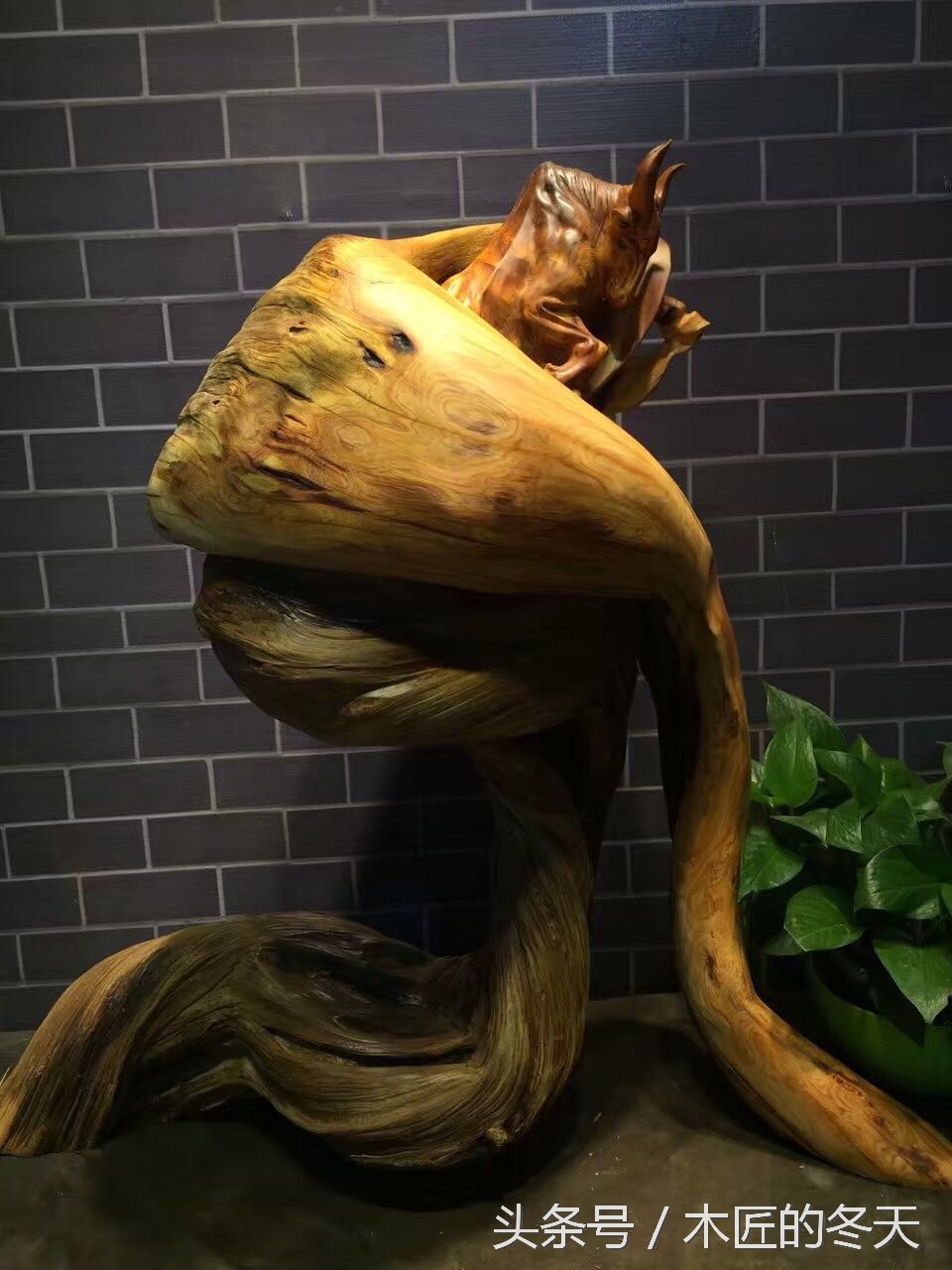 崖柏根雕鉴赏的十大标准,崖柏根雕为什么这么火