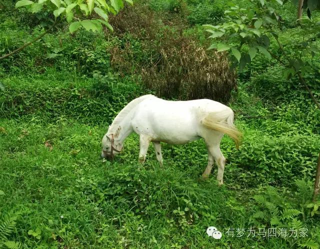 亚洲第一跨国大瀑布，淘宝掌柜环游旅行第十九集