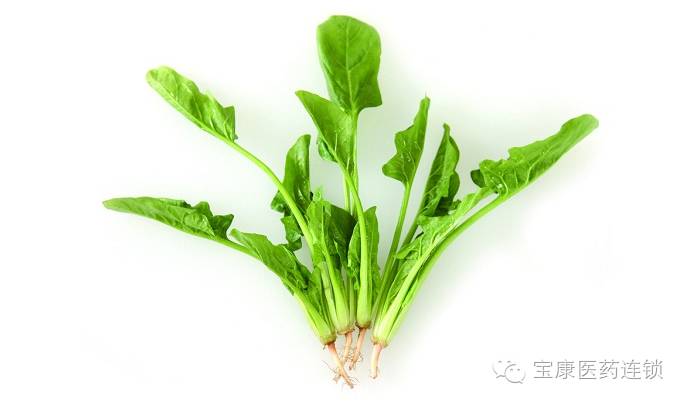 阴虚气血不足用什么食物补来得快,女性脾胃虚弱气血不足吃什么食物