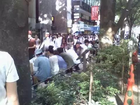 日本的首饰羽毛,日本手工银饰羽毛什么价格