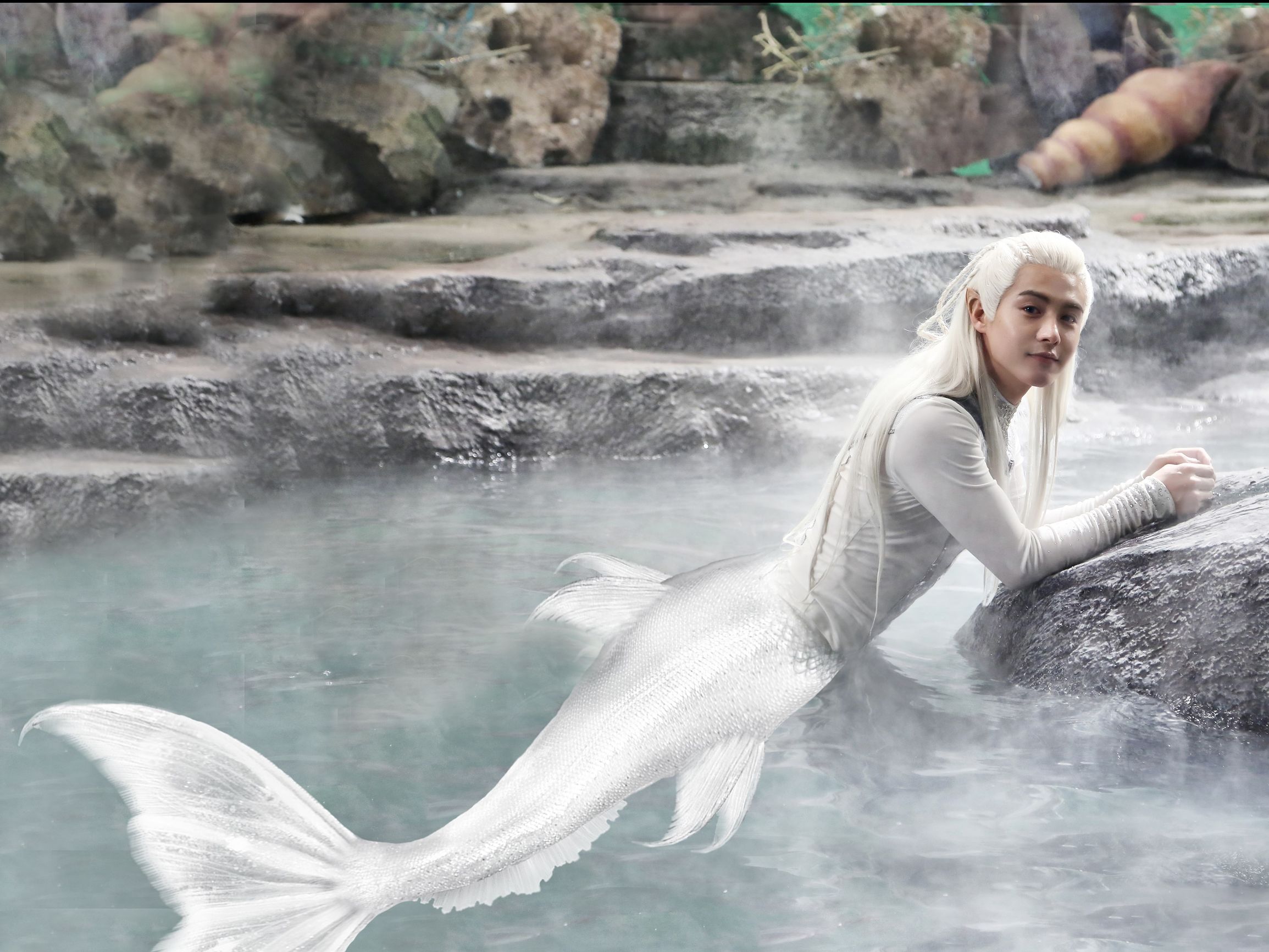 最是千变“美娇娘”，弱水三千，不及你蓝颜一瓢饮