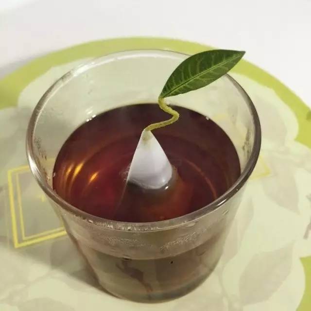 只有1%的人能看懂吗,小众茶包品牌