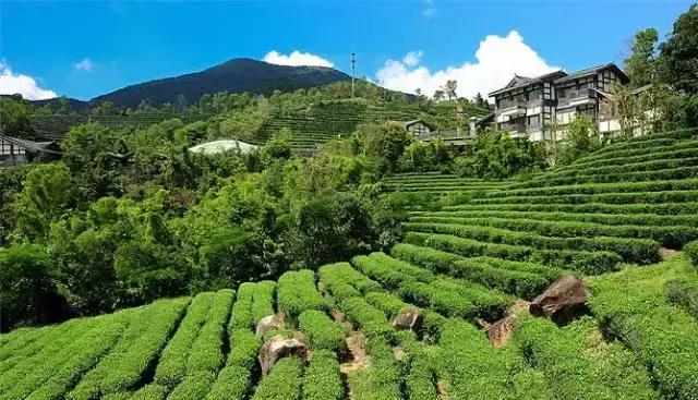 深圳东部华侨城游玩和消费,深圳东部华侨城详细攻略