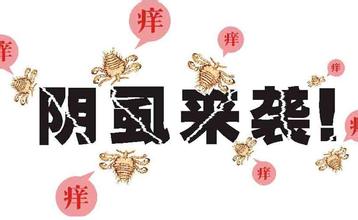 阴虱只有虫卵会传播吗,阴虱卵的传播途径