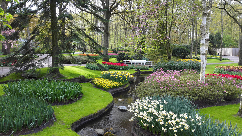 荷兰奶粉哪款最好,八一八中华老字号