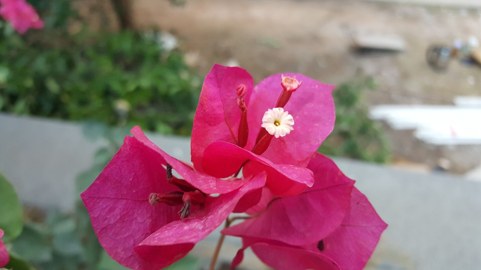 三星中国化,三星c7现在战力如何