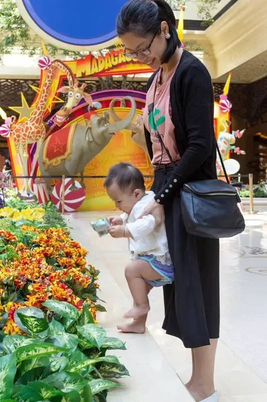 澳门亲子游吃什么,澳门吃喝玩适合小朋友