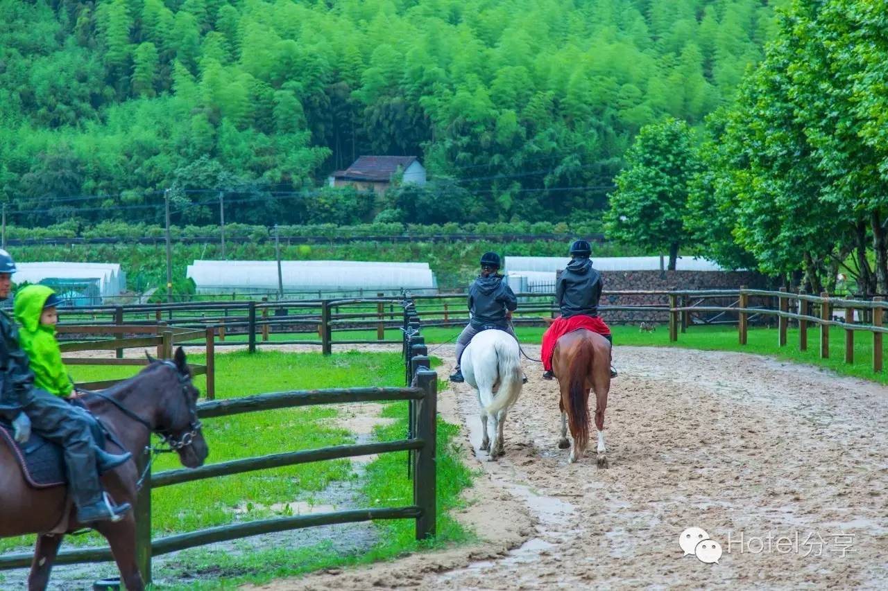 莫干山裸心谷的风景怎么样,莫干山裸心谷值得去吗