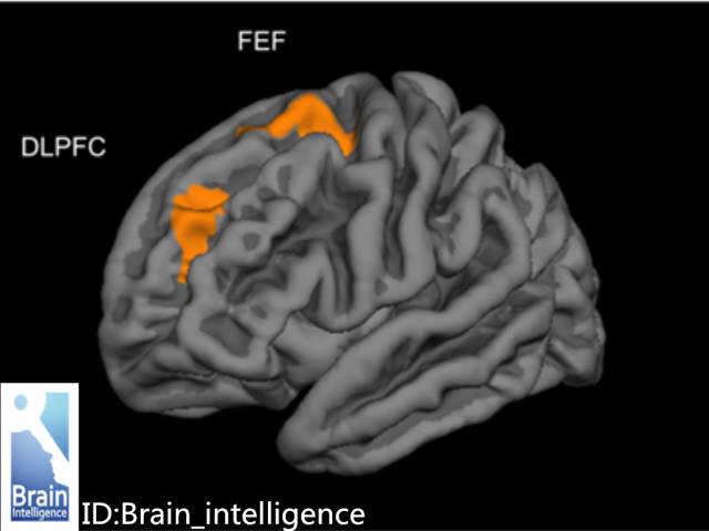 游戏是如何控制大脑的,游戏改变大脑
