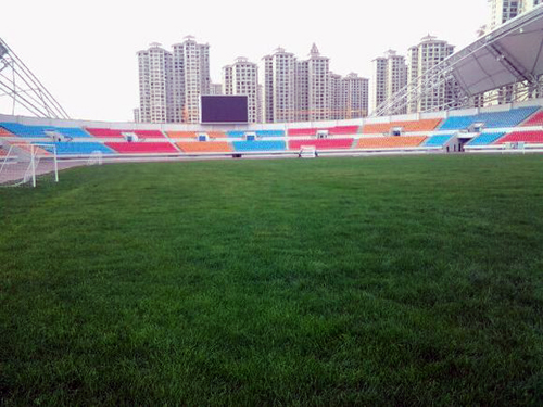 西安笼式足球场厂家,汉中膜结构足球场